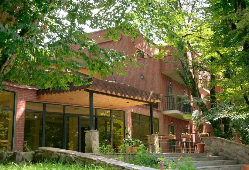 جناح جونيور, Wald Hotel Lagodekhi Rooms
