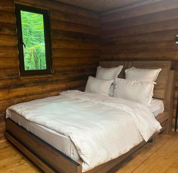 شقة غرفة واحدة, Wald Hotel Lagodekhi Rooms