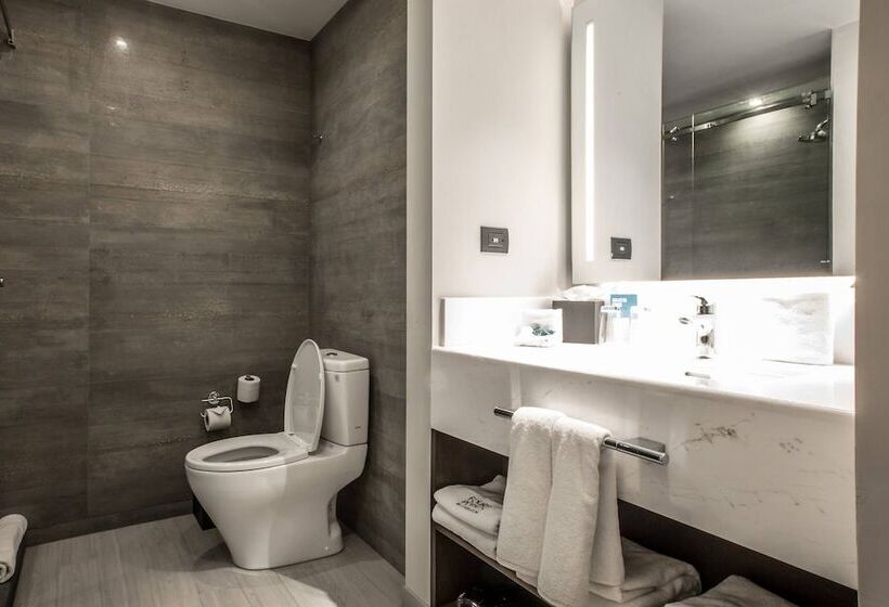 اتاق کلاسیک با تخت دوبل, Four Points By Sheraton Puebla
