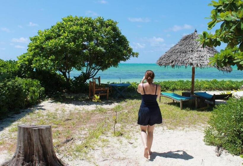 Номер Стандарт Вид на Море, Driftwood Beach Lodge