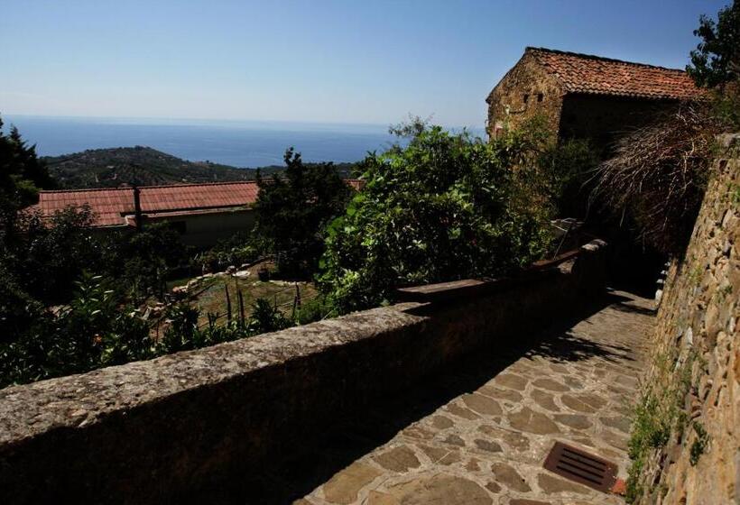 Студио Стандарт с Террасой, Cilento Coast, Palazzo Pisani Pollica  Salerno Campania Italy