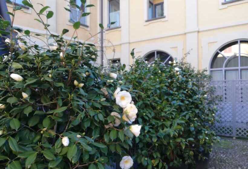 اتاق استاندارد, Lisander B&b