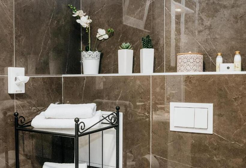 Номер Стандарт, Centrooms Kovac