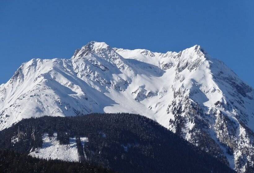 Номер Стандарт, Scheulinghof