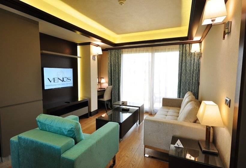Люкс Повышенной Комфортности, Venüs Termal Butik Otel
