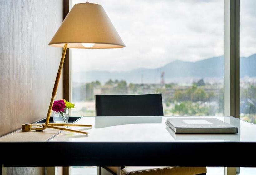 스탠다드 룸 킹사이즈 침대, Grand Hyatt Bogota
