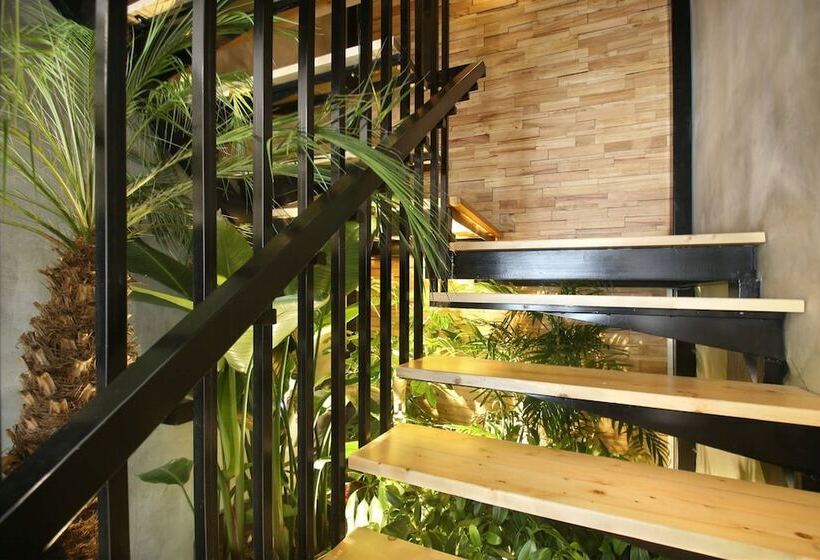 اتاق لوکس, Miju House Jing An