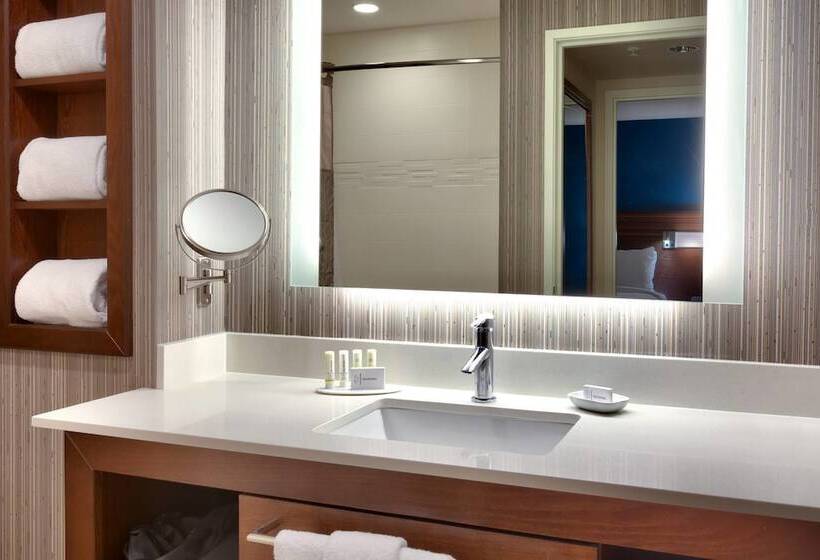 Люкс, Residence Inn By Marriott Salt Lake City West Jordan