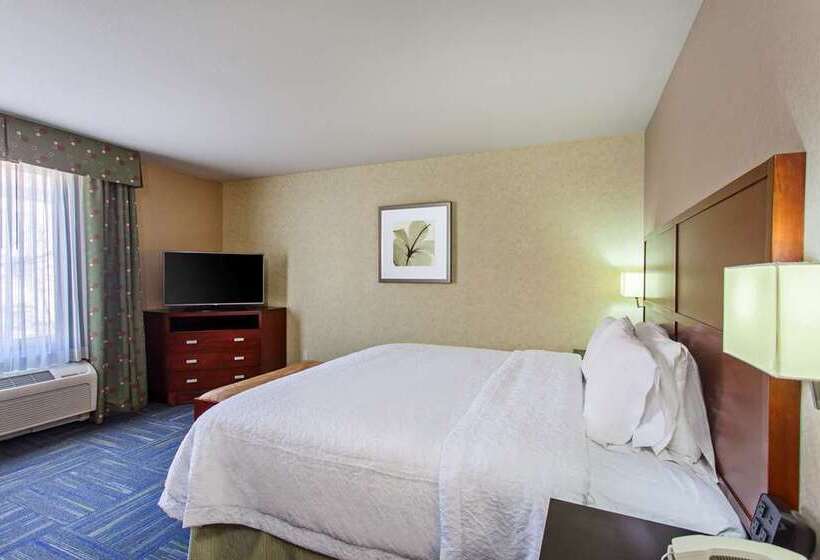 Стандартный Номер Кровать Кинг, Hampton Inn San Marcos, Ca