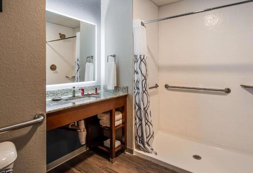 Люкс, Best Western Premier Ankeny