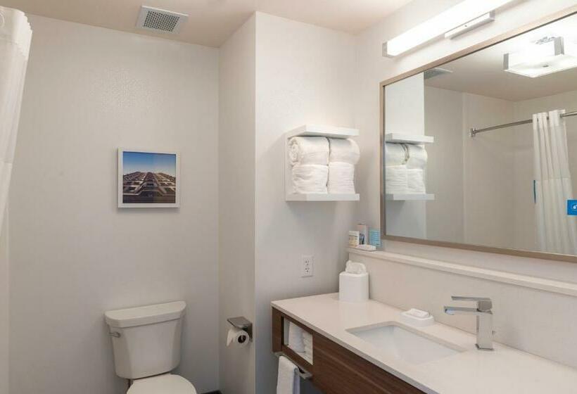 스탠다드 룸, Hampton Inn & Suites Xenia Dayton