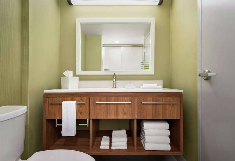 Люкс Адаптированный для Инвалидов, Home2 Suites By Hilton Woodbridge Potomac Mills