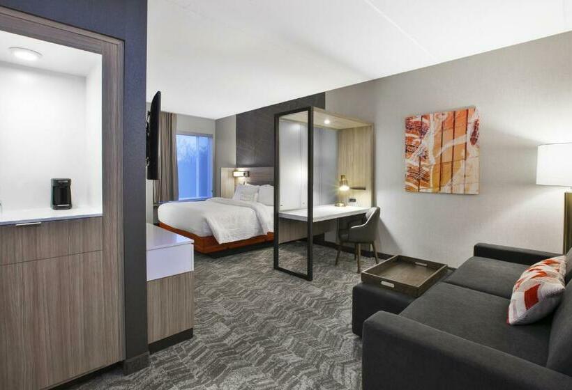 Estúdio standard Cama King, Springhill Suites By Marriott Chattanooga North/ooltewah