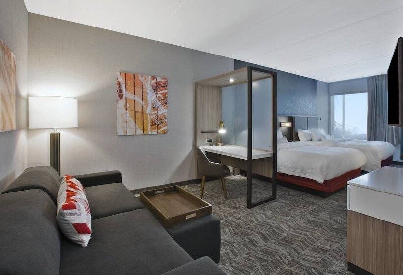 Escritório Estándar, Springhill Suites By Marriott Chattanooga North/ooltewah