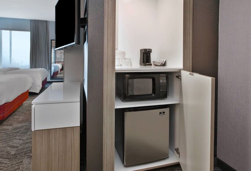 Студия Стандарт, Springhill Suites By Marriott Chattanooga North/ooltewah