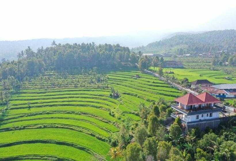 수피리어 룸, Candra Cottage