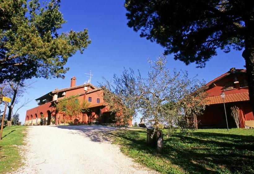 Полулюкс с Балконом, Tenuta Merlano