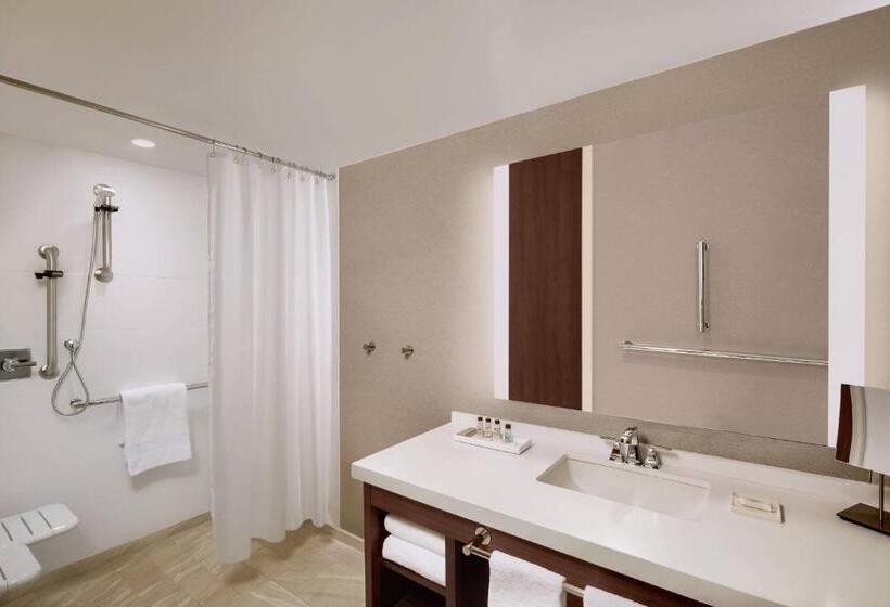 חדר סטנדרט, Marriott Dallas Allen Hotel & Convention Center