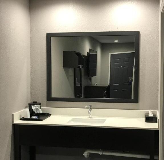 Номер Стандарт Кровать Кинг Адаптированный для Инвалидов, Rodeway Inn South