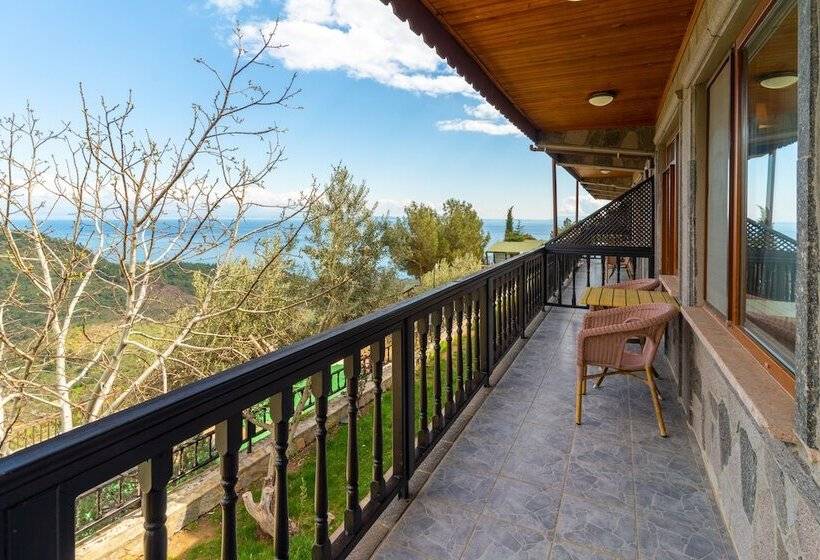 Номер Стандарт, Assos Kartal Yuvasi