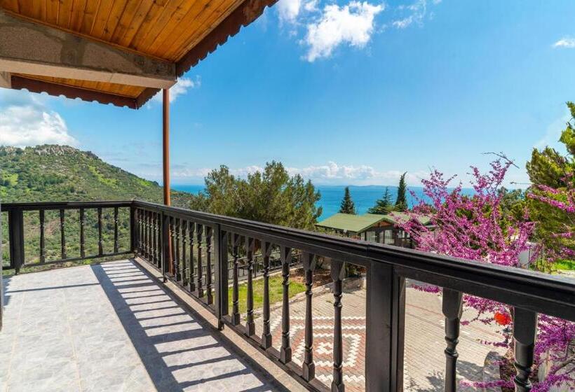 Номер Стандарт, Assos Kartal Yuvasi