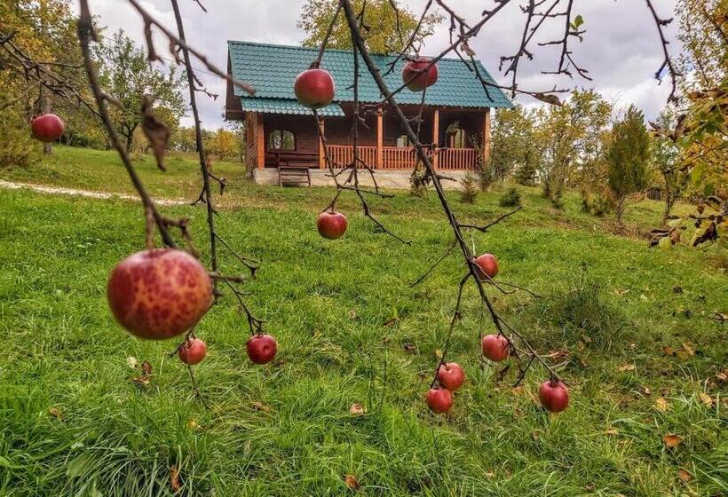 اتاق استاندارد, Pensiunea Agroturistică Piscul Soarelui
