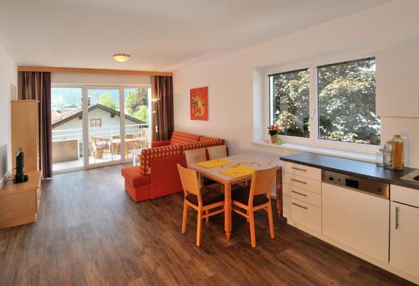 Апартаменты 1 Спальня, Pension Apartment Hödner
