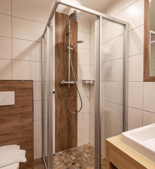 Апартаменты Superior 1 Спальня, Das Aparthotel Olympia Tirol