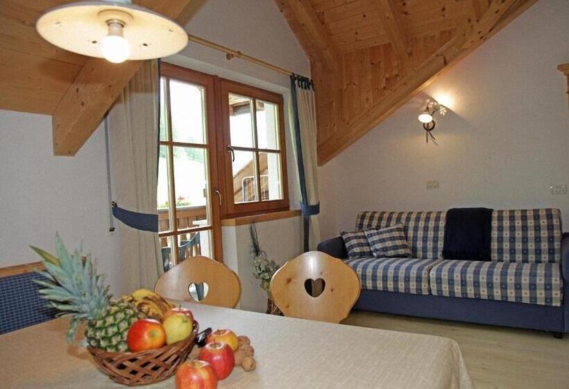 Семейные Апартаменты, Dolomites Apartments Ciasa Vally