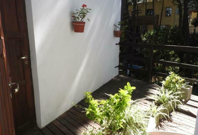 اتاق استاندارد, Las Piedras
