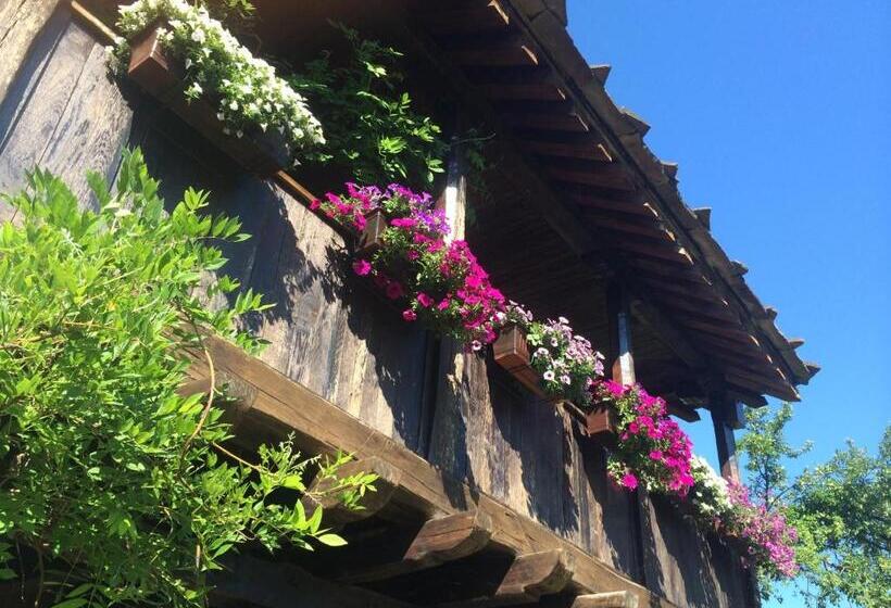 Номер Стандарт, Stefanina Guesthouse