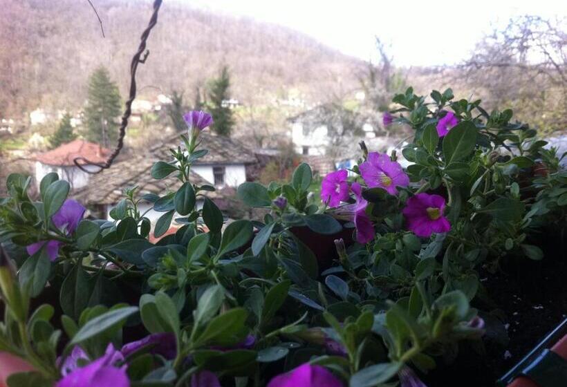 Номер Superior, Stefanina Guesthouse