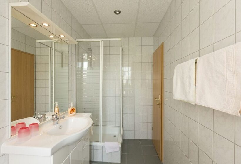 带1个卧室的公寓, Landhaus Bergidyll
