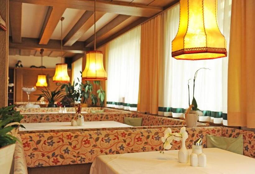 Апартаменты 1 Спальня с Балконом, Pension Olympia