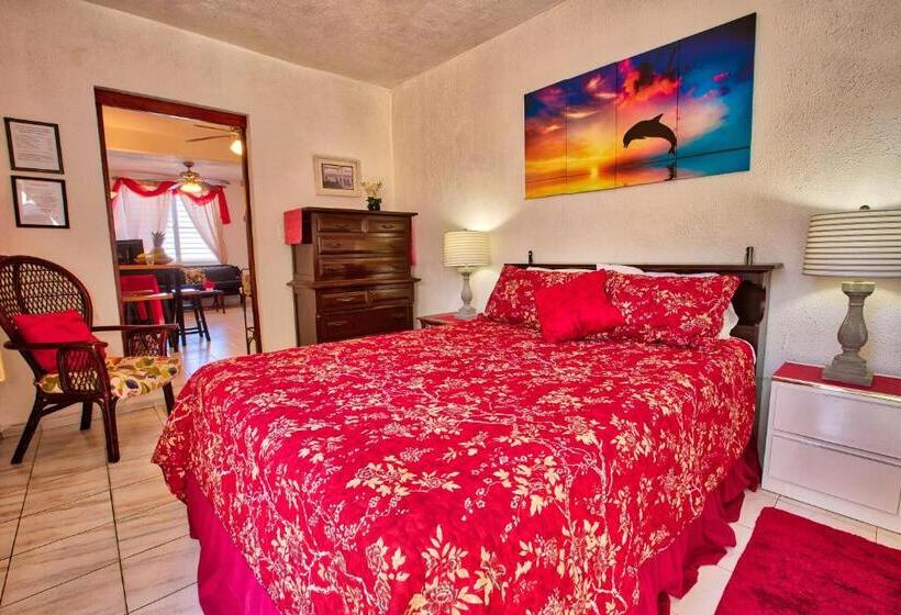 استودیو استاندارد با تخت کینگ, Coconut Palms Inn