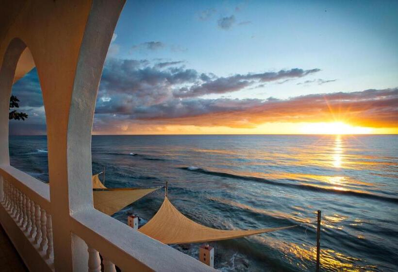 آپارتمان 1 خوابه با تراس, Coconut Palms Inn