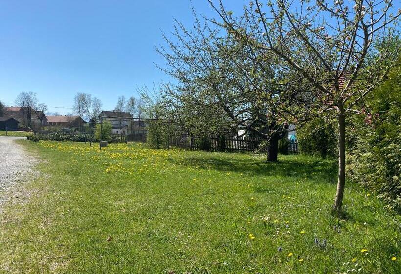 Четырехместный Номер Стандарт, Gasthof Graf