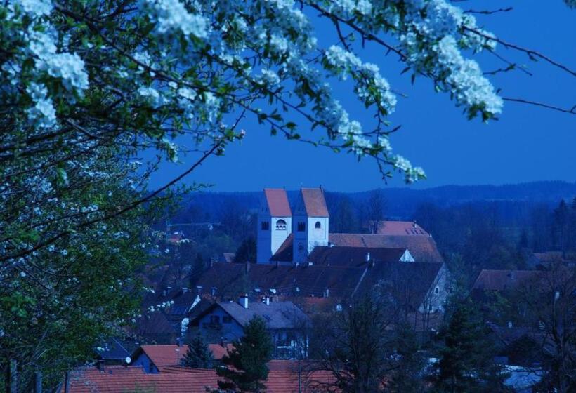 Номер Стандарт Совместная Ванная, Gasthof Graf