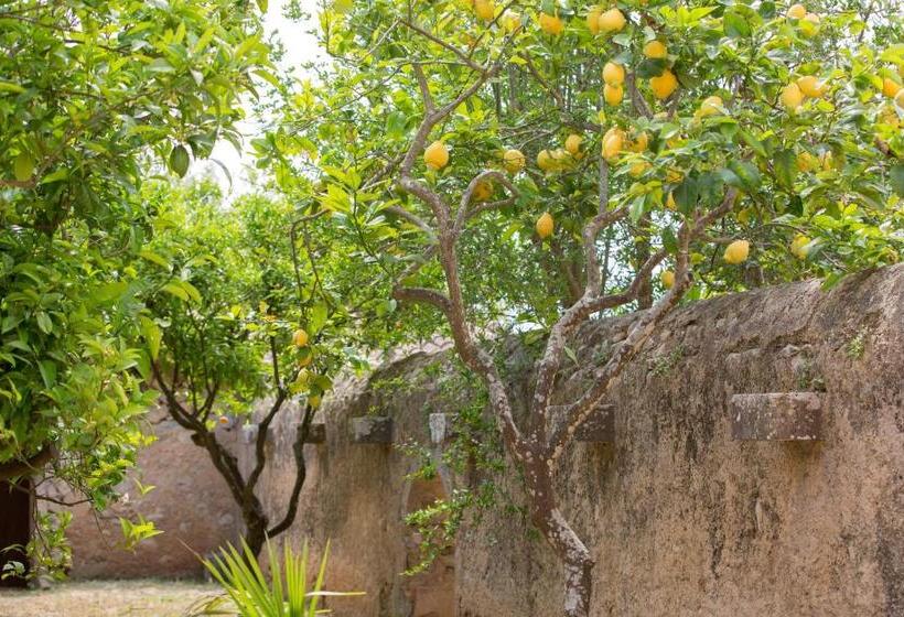 Апартаменты 1 Спальня, Agroturismo Es Pla De Llodrá