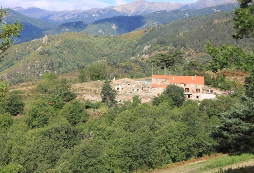 Номер Стандарт, Mas Taillet Maison D Hôtes