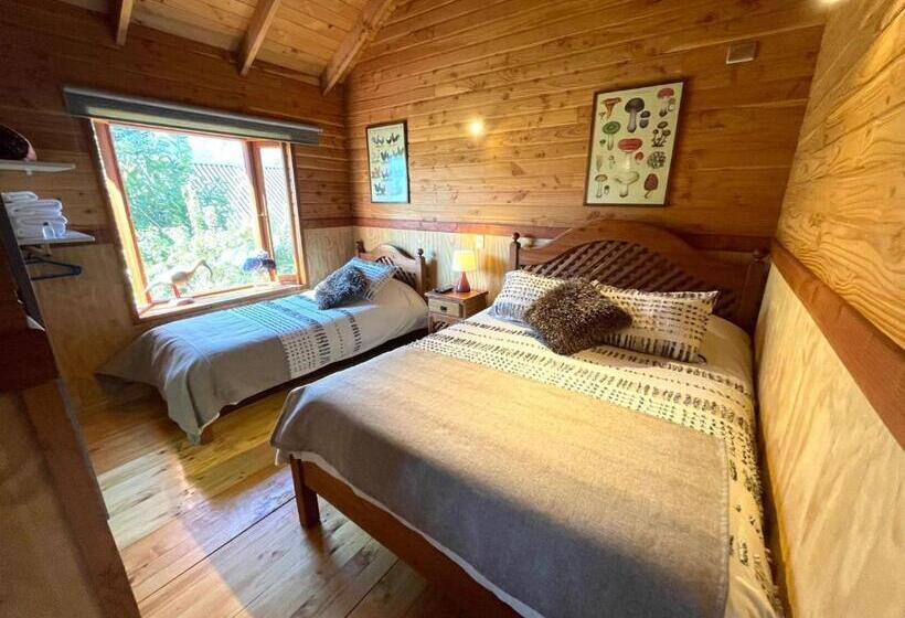스탠다드 룸, Hostal Pucon Sur