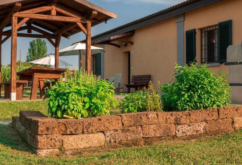 Студия Стандарт, Agriturismo Primaluna