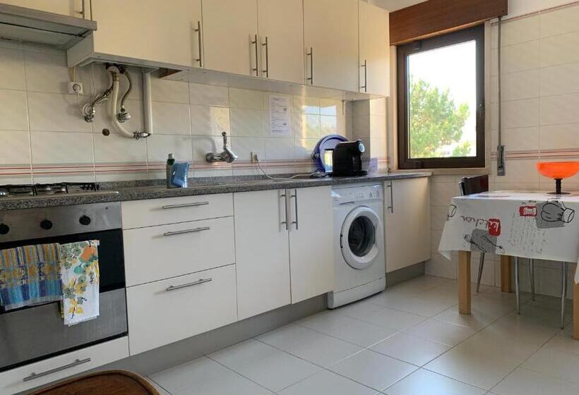Студия Стандарт, Discovery Apartment Carnaxide