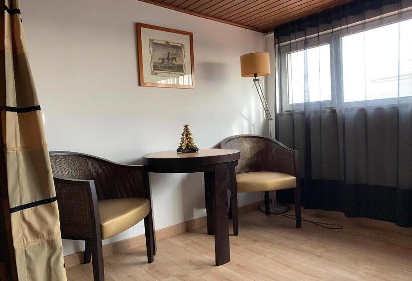 Студия Стандарт, Discovery Apartment Carnaxide