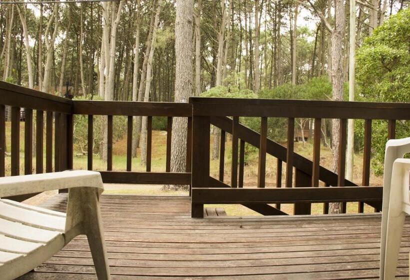 ２ベッドルームアパートメント, Cabañas Sottobosco