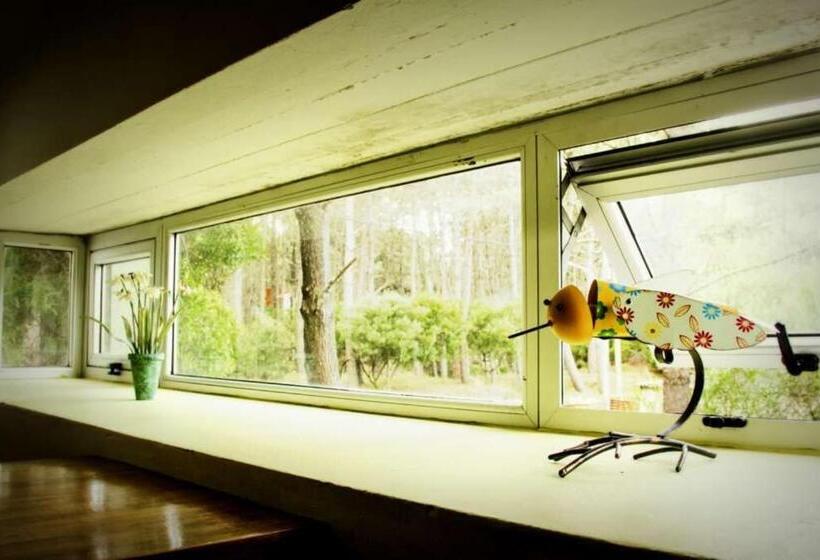 ２ベッドルームアパートメント, Cabañas Sottobosco