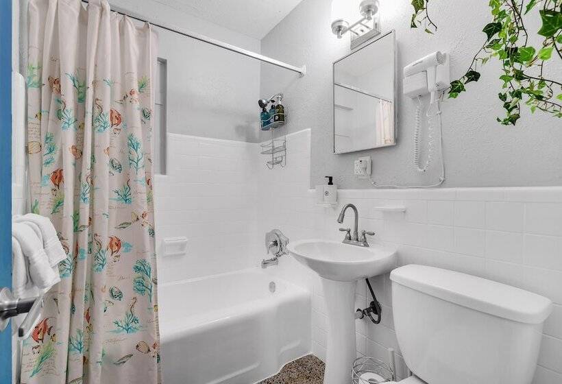 Вилла Deluxe 1 Спальня, The Blue House Fort Lauderdale