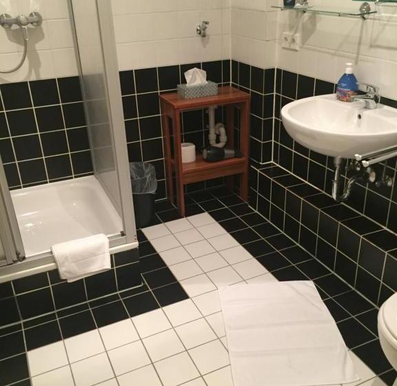 Номер Стандарт, Bavaria Wirtshaus   Hotel & Gästezimmer  Frankenberg Eder