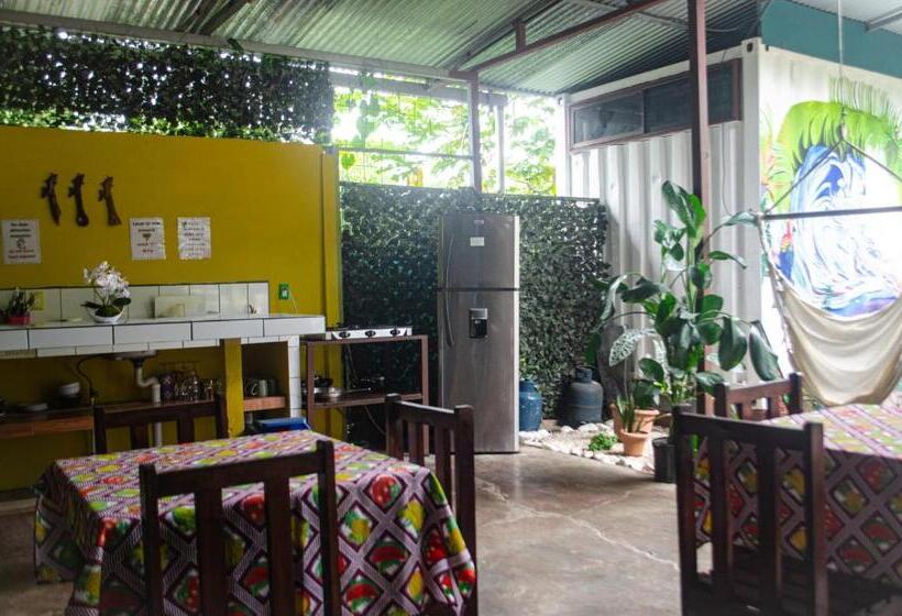 经典四人房间, The Jungle Container