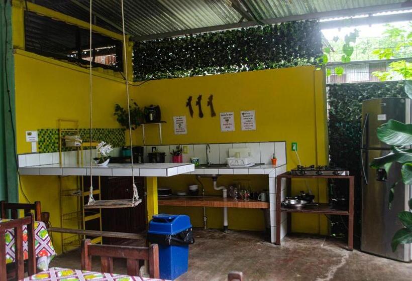 带共用浴室的标准房间, The Jungle Container